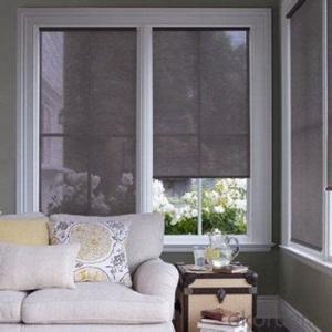 Roller Blind With 3d Design for Home Window