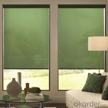 Zebra Roller Blinds Blackout with One Way Vision for Homes System 1