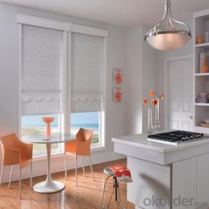 Zebra Roller Blinds Blackout with One Way Vision for Home System 1