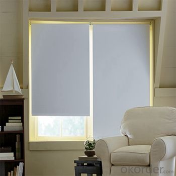 Roller Blind Blackout with One Way Vision for Homes System 1