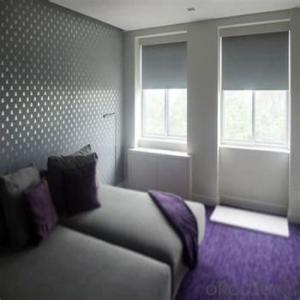 Roller Blinds Blackout with Tubular Motor for Windows