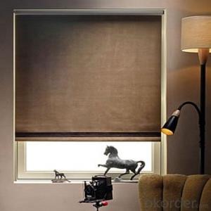 Zebra Roller Blind Blackout with One Way Vision for Home System 1
