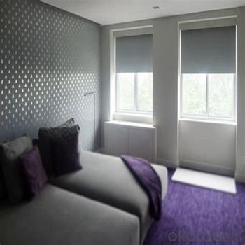 Roller Blind Blackout with Tubular Motor for Window System 1