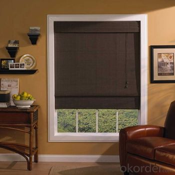 Motorized Roller Blind Blackout One Way Vision with Electric Motors System 1