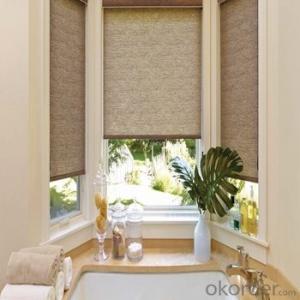Zipper Roller Blinds Curtains for The Living Rooms
