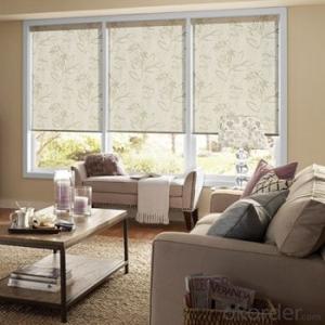 Zebra Roller Blind Blackout One Way Vision with Electric Motors