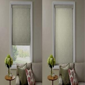 Motorized Roller Blinds One Way Vision with Electric Motor