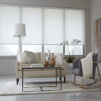 Roller Blinds Blackout with Tubular Motor for Window System 1