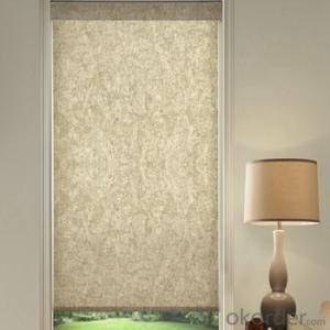 Zebra Roller Blind Blackout with One Way Vision for Farmhouse