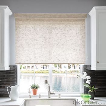 Roller Blind Blackout One Way Vision with Electric Motors System 1