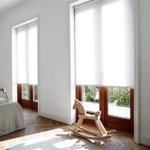 Double Roller Blinds with Adjustable Window Screen