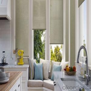 Zebra Roller Blinds Blackout One Way Vision with Electric Motor System 1