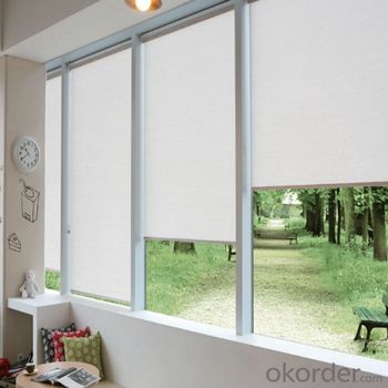 Zebra Roller Blind Blackout with Tubular Motor for Window System 1