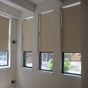 Waterproof Roller Blinds Curtains for The Bathing Rooms