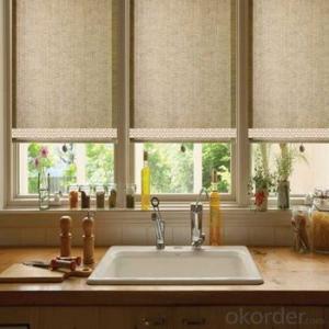 Roller Blind Blackout One Way Vision with Electric Motor System 1