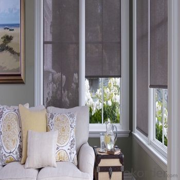 Roller Blinds Blackout with One Way Vision for Homes System 1