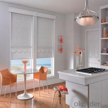 Zebra Roller Blinds and Ceiling Blinds System 1