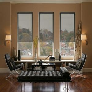 Electric Roller Blinds and Ceiling Blinds