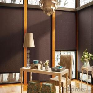 Bamboo Roller Blinds with Honey Comb Daylight Shading System 1