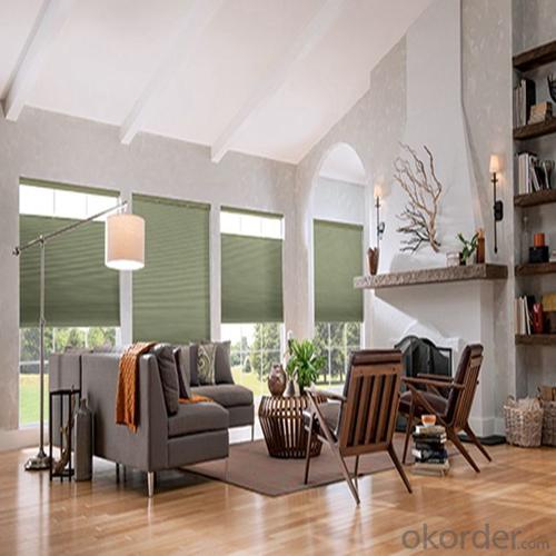 Horizontal Somfy Electric Roller Window Shades System 1