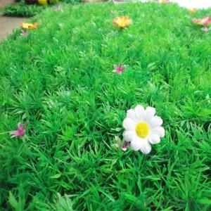 Wholesale landscaping artificial grass area lawn turf for sports