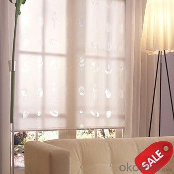 Zebra Roller Blinds Fabric One Way Vision Roller Blinds System 1