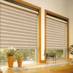 Roller Blinds with One Way Vision for Home System 1