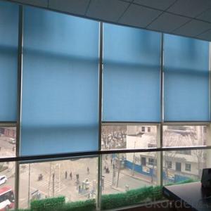 Zebra Curtain Blind Car Sun Shade for Blinds Windows System 1