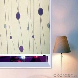 Vertical Blinds Shower Curtain Shade Netting Sun Shade