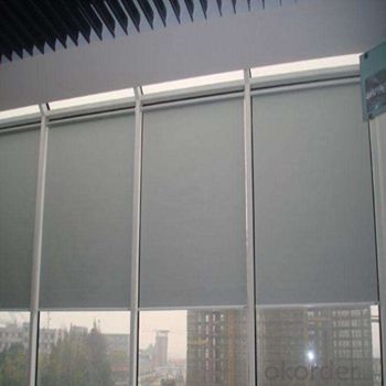 Electric Blind Blackout Curtain Sun Shade Car Blinds Windows System 1