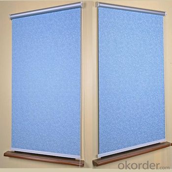 Roller Blinds with PVC Material for Shower System 1