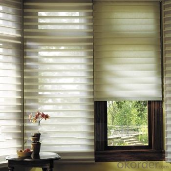 Outdoor Blind Window Curtain Shade Sail Shade System 1