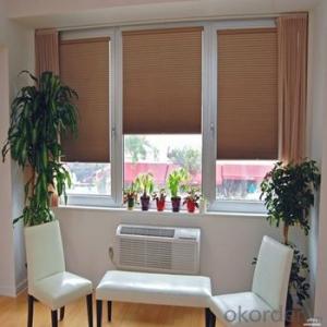 manual roller blinds curtain hotel blackout blinds electric blinds for window System 1