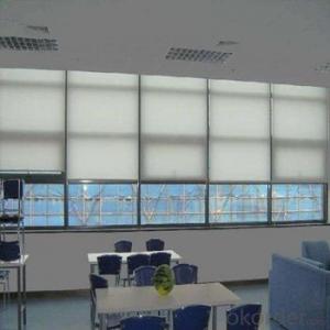 Electric Blind Blackout Curtain Sun Shade Car Blinds Window System 1