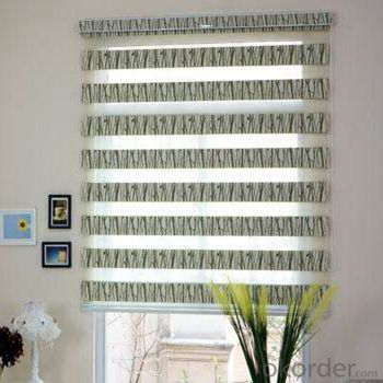 Blinds China Video Led Curtains Lamp Shade System 1