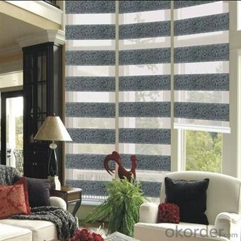 Zebra Blind Japan Video Xxx Flexible Led Curtain Screen for Window System 1