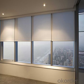 One Way Vision Roller Blinds Bamboo Curtain Green Shade Netting System 1