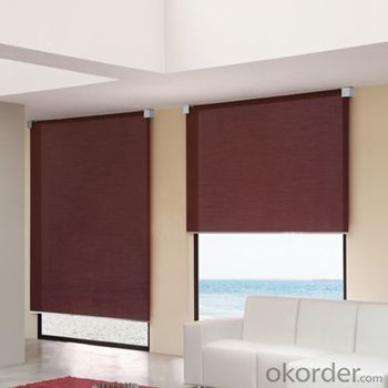 Blinds Curtain Rod Automatic Car Umbrella Shades System 1