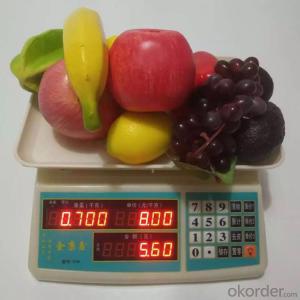 Most popular model Price computing scale electronic weighing scale from chinese factory System 1