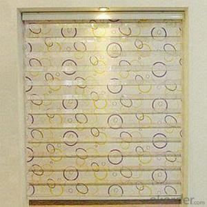 Clear Colored Horizontal PVC Outdoor Blinds System 1