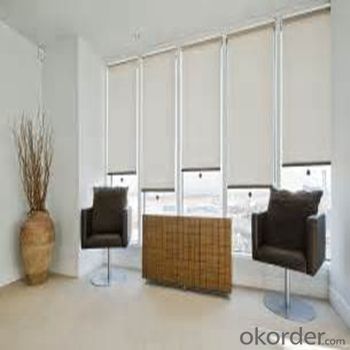 Persian Plastic Component Roller Blinds Blackout System 1