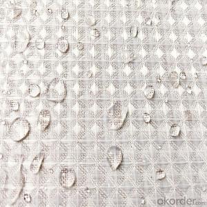 Waterproof Window Shower Roller Printed Blinds