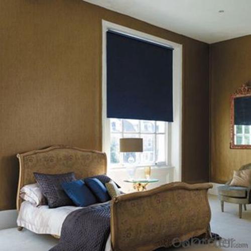 Vinyl Somfy Motorized Venetian Roller Blinds System 1