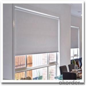 PVC Outdoor Somfy Electric Roller Shades Blinds System 1