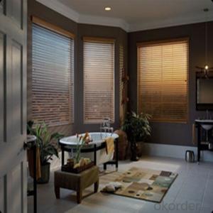 Chain Blackout Motorized Printed Roller Blinds