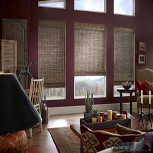 Replacement Fabric Privacy Roller Blinds System 1