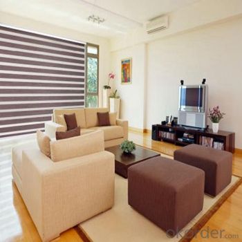 Zebra Roller Blind Curtain Accessory Car Shade System 1