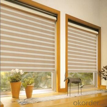 Motorized Window Blinds Photos Roller Blinds Motor System 1