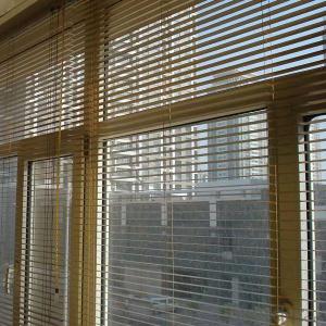 Blackout Window Blinds with New Design Style System 1