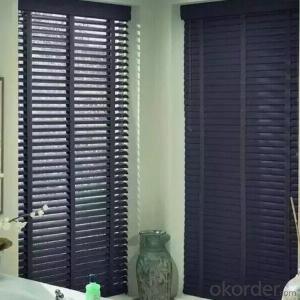 Zebra Window Sunblinds with New Design Style System 1